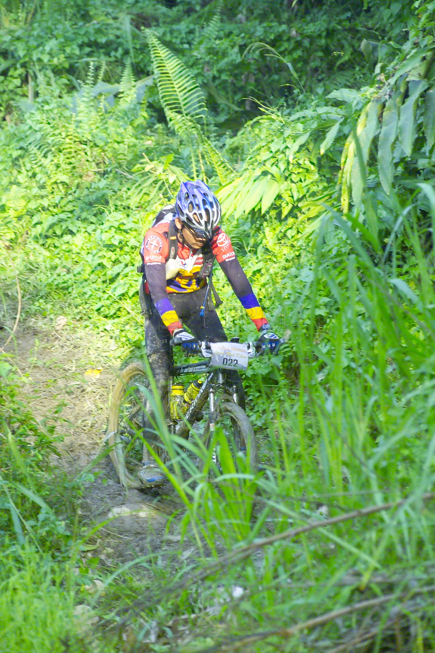 PTPM 06 31 kilau D9X44262